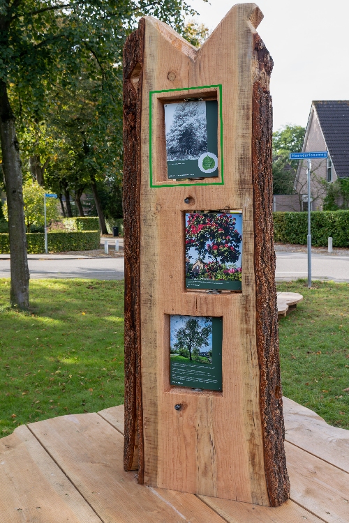 Exposietie_Bomen_voor_jou